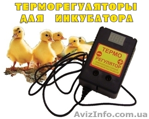 Терморегуляторы для инкубаторов цифровой ЦТР-2 - <ro>Изображение</ro><ru>Изображение</ru> #1, <ru>Объявление</ru> #830513