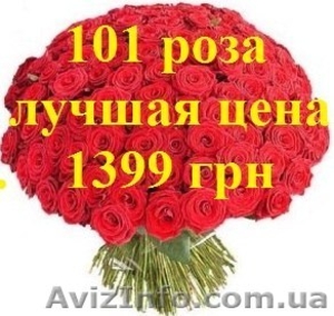 ШОК! Акция!!! Доставка цветов Букет из 101 розы всего 1399 грн - <ro>Изображение</ro><ru>Изображение</ru> #1, <ru>Объявление</ru> #880680