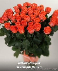 ШОК! Акция!!! Доставка цветов Букет из 101 розы всего 1399 грн - <ro>Изображение</ro><ru>Изображение</ru> #6, <ru>Объявление</ru> #880680