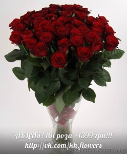ШОК! Акция!!! Доставка цветов Букет из 101 розы всего 1399 грн - <ro>Изображение</ro><ru>Изображение</ru> #7, <ru>Объявление</ru> #880680