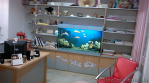 Тихий офис в центре с аквариумом - <ro>Изображение</ro><ru>Изображение</ru> #1, <ru>Объявление</ru> #931177