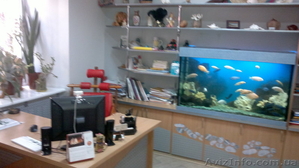 Тихий офис в центре с аквариумом - <ro>Изображение</ro><ru>Изображение</ru> #2, <ru>Объявление</ru> #931177