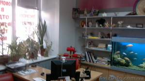Тихий офис в центре с аквариумом - <ro>Изображение</ro><ru>Изображение</ru> #3, <ru>Объявление</ru> #931177