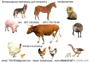 Ветеринарные препараты для лечения и профилактики болезней у животных - <ro>Изображение</ro><ru>Изображение</ru> #2, <ru>Объявление</ru> #923442