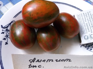 Продам семена томатов (помидор) от 03.12.14 - <ro>Изображение</ro><ru>Изображение</ru> #3, <ru>Объявление</ru> #817873