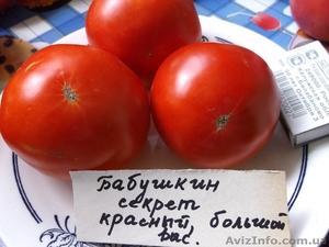 Продам семена томатов (помидор) от 03.12.14 - <ro>Изображение</ro><ru>Изображение</ru> #5, <ru>Объявление</ru> #817873