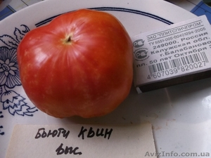 Продам семена томатов (помидор) от 03.12.14 - <ro>Изображение</ro><ru>Изображение</ru> #8, <ru>Объявление</ru> #817873