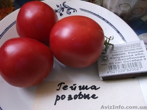 Продам семена томатов (помидор) от 03.12.14 - <ro>Изображение</ro><ru>Изображение</ru> #9, <ru>Объявление</ru> #817873