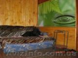 Сдам дом в деревне возле леса