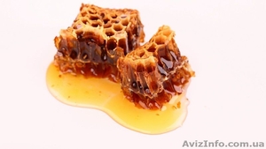 Продам мёд (майский, акациевый) - <ro>Изображение</ro><ru>Изображение</ru> #1, <ru>Объявление</ru> #1097655
