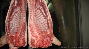 продам полу туши свиные беконные 37 -40 кг  - <ro>Изображение</ro><ru>Изображение</ru> #1, <ru>Объявление</ru> #1092135
