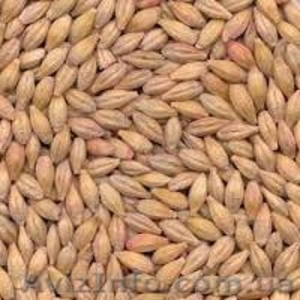 рапс,  пшеницу,  сою,  кукурузу,  ячмень,  подсолнечник