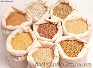 экспортёры купят paпс  пшeницу  coю  кукурузу  ячмень  подсолнечник