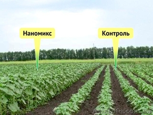 Nanomix Group. СЗР, удобрения, посевной материал, озимые семена  - <ro>Изображение</ro><ru>Изображение</ru> #3, <ru>Объявление</ru> #1135478