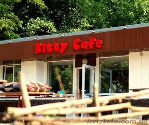 Незабываемый детский День Рождения в кафе «Kitty» - <ro>Изображение</ro><ru>Изображение</ru> #1, <ru>Объявление</ru> #1154799