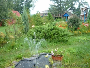 Агрооселя «Зелена садиба», отдых в Коробовых Хуторах - <ro>Изображение</ro><ru>Изображение</ru> #2, <ru>Объявление</ru> #1269486