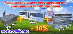 Комплект клеточного оборудования для выращивания перепелов.