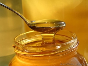 Продам мёд (акация, липа, лесное разнотравье) - <ro>Изображение</ro><ru>Изображение</ru> #3, <ru>Объявление</ru> #1285089