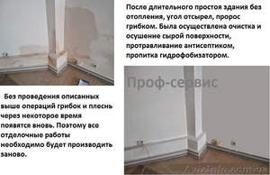 Защита стен, фасадов от плесени, грибка, высолов - <ro>Изображение</ro><ru>Изображение</ru> #1, <ru>Объявление</ru> #1314706