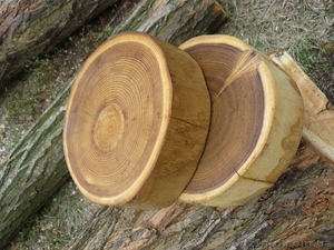 Продам брусчатку деревянную - <ro>Изображение</ro><ru>Изображение</ru> #2, <ru>Объявление</ru> #1327238