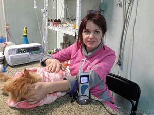 Ветеринарніе услуги - <ro>Изображение</ro><ru>Изображение</ru> #8, <ru>Объявление</ru> #1368955