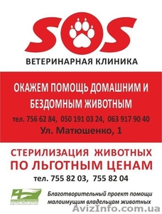 Ветеринарная клиника "SOS"  - <ro>Изображение</ro><ru>Изображение</ru> #1, <ru>Объявление</ru> #1394934