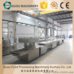 Линия глазирования шоколадом Гусу из Китая (skype: li.faina)