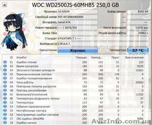 WDC WD2500JS-60MHB5 - <ro>Изображение</ro><ru>Изображение</ru> #4, <ru>Объявление</ru> #1537354