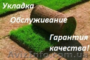 Рулонный газон отличного качества! Продажа и укладка. - <ro>Изображение</ro><ru>Изображение</ru> #1, <ru>Объявление</ru> #1575962