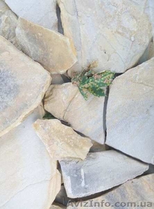 Природный камень-песчаник - новый ландшафт дома - <ro>Изображение</ro><ru>Изображение</ru> #2, <ru>Объявление</ru> #1618852