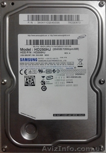 Жесткий диск (не рабочий) Samsung HD250HJ - <ro>Изображение</ro><ru>Изображение</ru> #1, <ru>Объявление</ru> #1628189