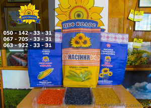 Семена подсолнечника / Сертифіковане насіння соняшника - <ro>Изображение</ro><ru>Изображение</ru> #6, <ru>Объявление</ru> #1588891