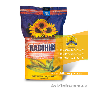 Семена подсолнечника / Рекольд - насіння соняшника - <ro>Изображение</ro><ru>Изображение</ru> #5, <ru>Объявление</ru> #1588893
