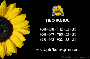 Семена подсолнечника / Рекольд - насіння соняшника - <ro>Изображение</ro><ru>Изображение</ru> #3, <ru>Объявление</ru> #1588893