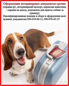 Оформлення ветеринарних та дозвільних документів для вашого улюбленця, Харків - <ro>Изображение</ro><ru>Изображение</ru> #1, <ru>Объявление</ru> #1647592
