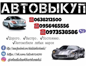 Срочный и безопасный выкуп вашего Автомобиля - <ro>Изображение</ro><ru>Изображение</ru> #1, <ru>Объявление</ru> #1650993