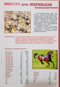 Микронизированные корма для лошадей,комбикорма и корма для собак - <ro>Изображение</ro><ru>Изображение</ru> #3, <ru>Объявление</ru> #1651881