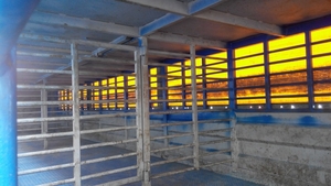 Продам скотовоз SCHMITZ - двухэтажный полуприцеп для перевозки животных - <ro>Изображение</ro><ru>Изображение</ru> #2, <ru>Объявление</ru> #1653543