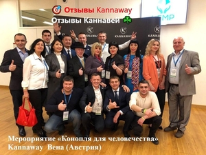 Лучшая альтернатива лекарств-конопляное масло