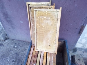 Продам сушь для пчел (230 мм) - <ro>Изображение</ro><ru>Изображение</ru> #1, <ru>Объявление</ru> #1675897