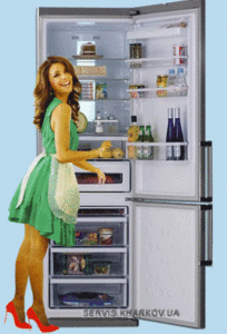 Мастерская ВЕК - ремонт холодильников на дому - <ro>Изображение</ro><ru>Изображение</ru> #2, <ru>Объявление</ru> #1698287