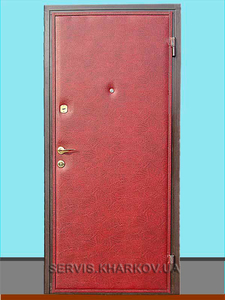 Ремонт реставрация входных дверей   - <ro>Изображение</ro><ru>Изображение</ru> #3, <ru>Объявление</ru> #1698284