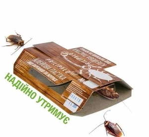 Средство от тараканов "Клеевая ловушка "PRILIPALO" - <ro>Изображение</ro><ru>Изображение</ru> #5, <ru>Объявление</ru> #1704067