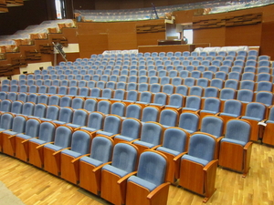 Кресла театральные для зрительных залов.  - <ro>Изображение</ro><ru>Изображение</ru> #9, <ru>Объявление</ru> #708462