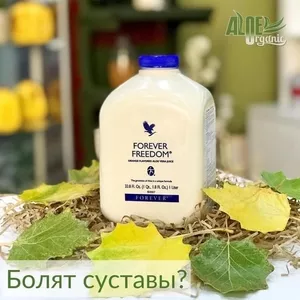 Откройте успешный интернет-магазин ЭКО продукции по возвратной франшизе! - <ro>Изображение</ro><ru>Изображение</ru> #2, <ru>Объявление</ru> #1746605