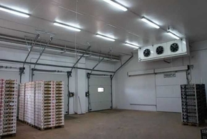 Холодильна камера Тривалого зберігання яєць (встановлення під ключ)