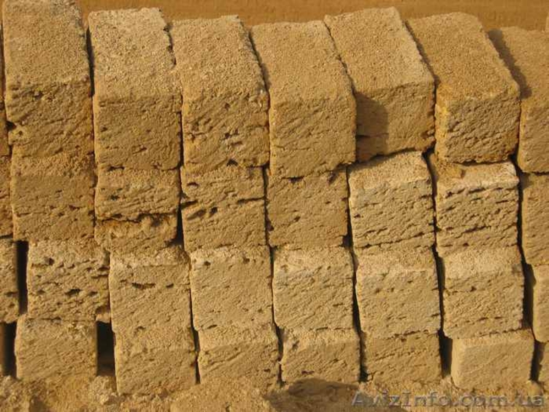 ракушечник крымский - <ro>Изображение</ro><ru>Изображение</ru> #3, <ru>Объявление</ru> #1824