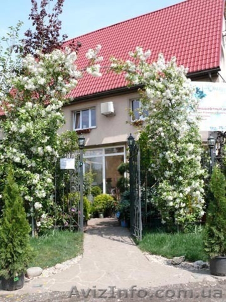 Продажа декоративных растений - <ro>Изображение</ro><ru>Изображение</ru> #1, <ru>Объявление</ru> #9371