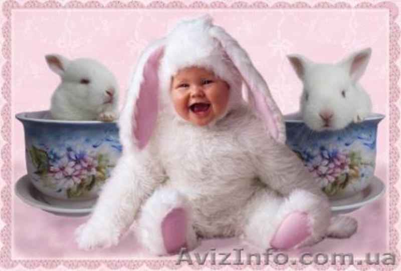 Детские календарики,рамочки  - <ro>Изображение</ro><ru>Изображение</ru> #4, <ru>Объявление</ru> #111167