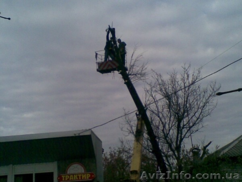 Спил деревьев,веток - <ro>Изображение</ro><ru>Изображение</ru> #2, <ru>Объявление</ru> #150483